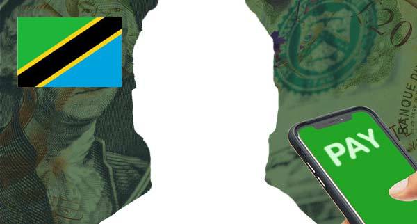 Anonymous Money Transfer Tanzania