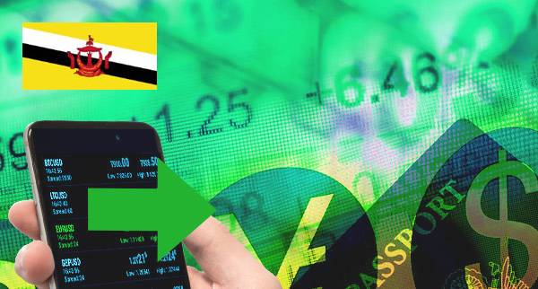 Expat Money Transfer Apps in Brunei