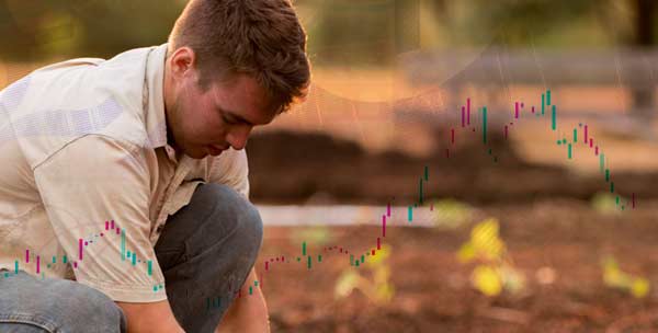 Loan Deficiency Payments