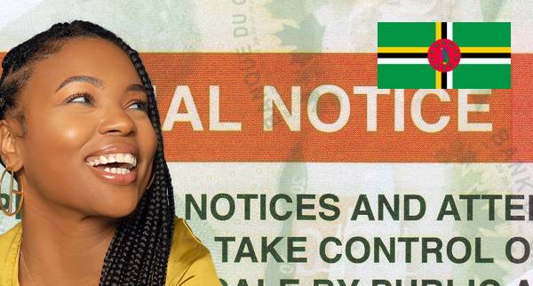 How To Declare Yourself Bankrupt in Dominica