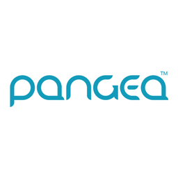 Visit MoneyGram alternative Pangea