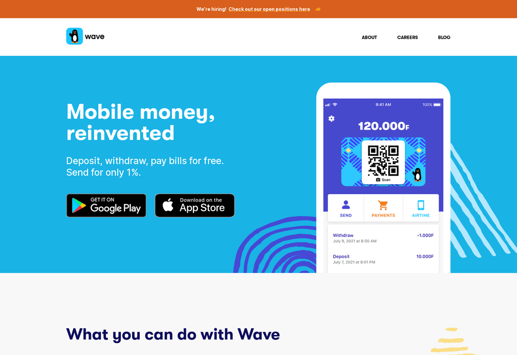 Wave Mobile Money Review