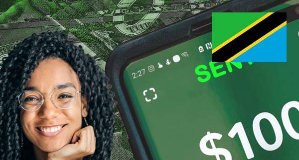 Mobile Money Transfers Tanzania