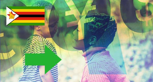 Multi Currency Accounts Zimbabwe