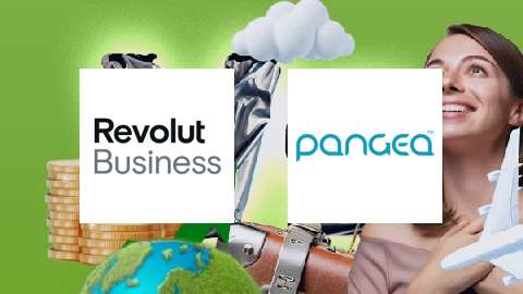 Revolut Business vs Pangea